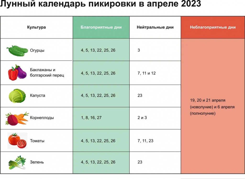 посадочные-дни-Ижевск-2023.jpg посадочные-дни-Ижевск-2023.jpg